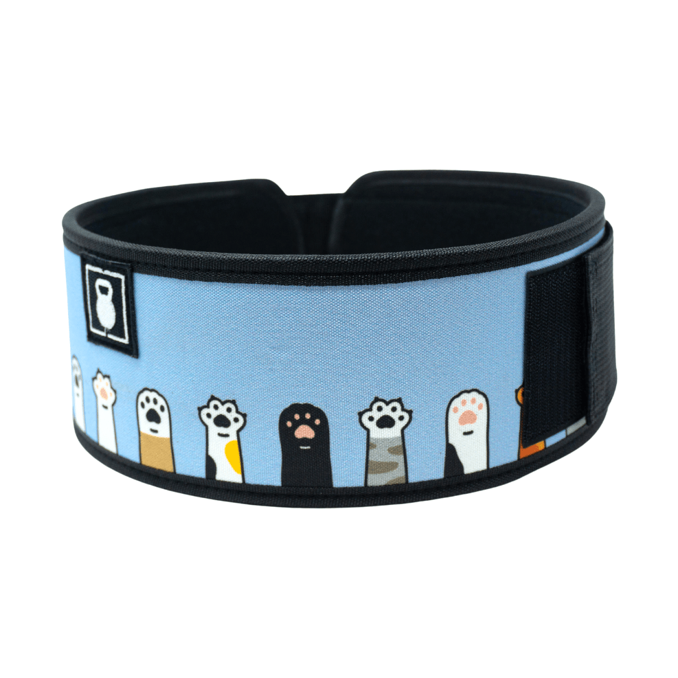 2POOD I'm Feline Good Gewichthebergürtel kaufen - 2POOD Gewichthebergürtel - Fitness Onlineshop