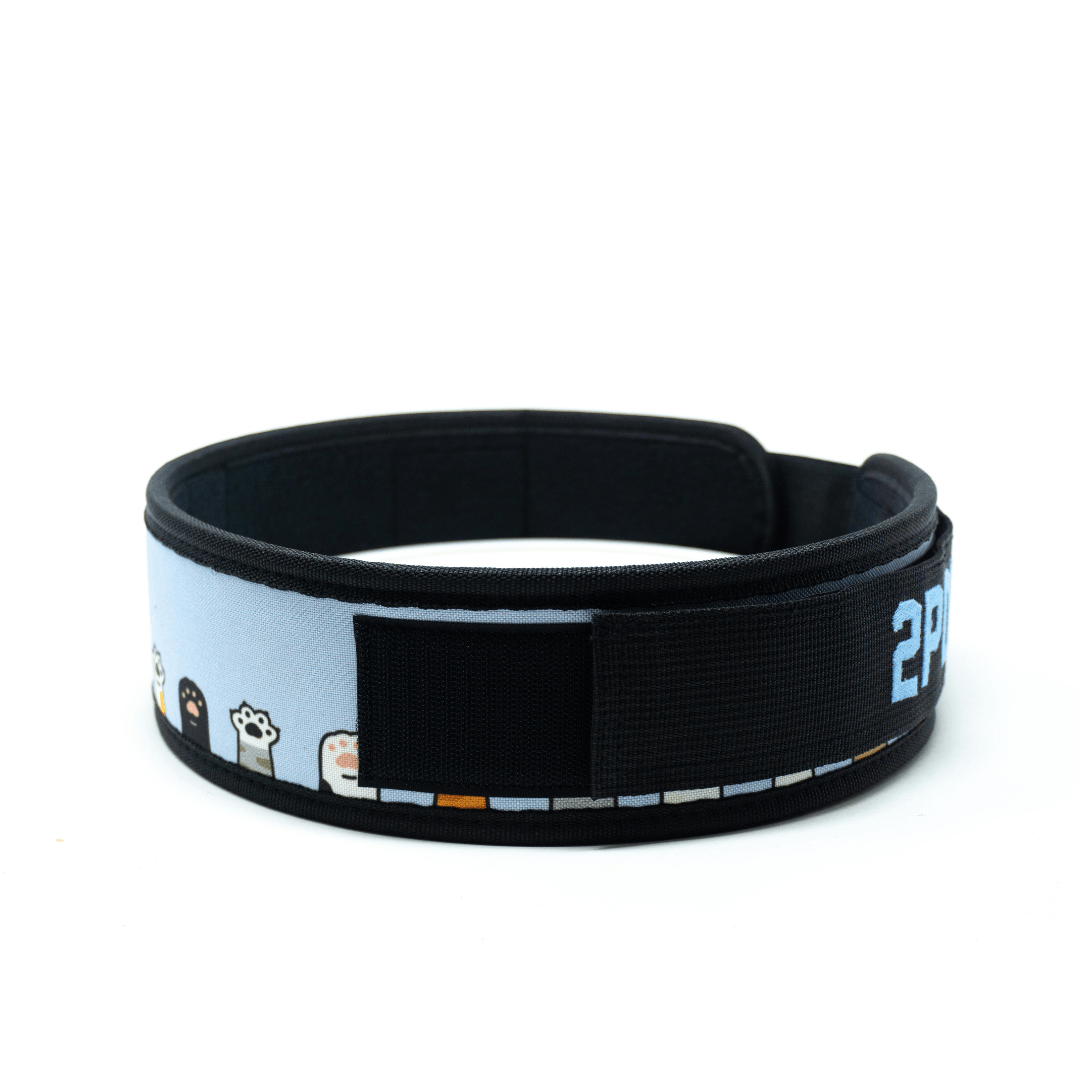 3" Petite I'm Feline Good Weightlifting Belt kaufen - 2POOD 3 Inch Belt - Fitness Onlineshop