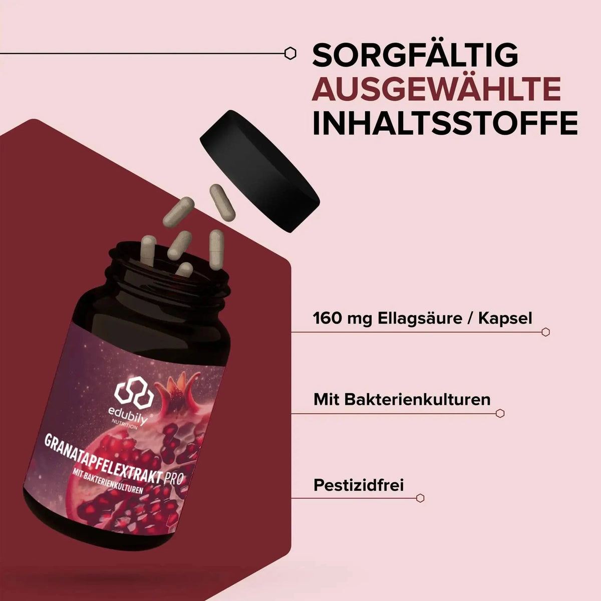 Granatapfel-Extrakt PRO kaufen - edubily Extrakte - Fitness Onlineshop