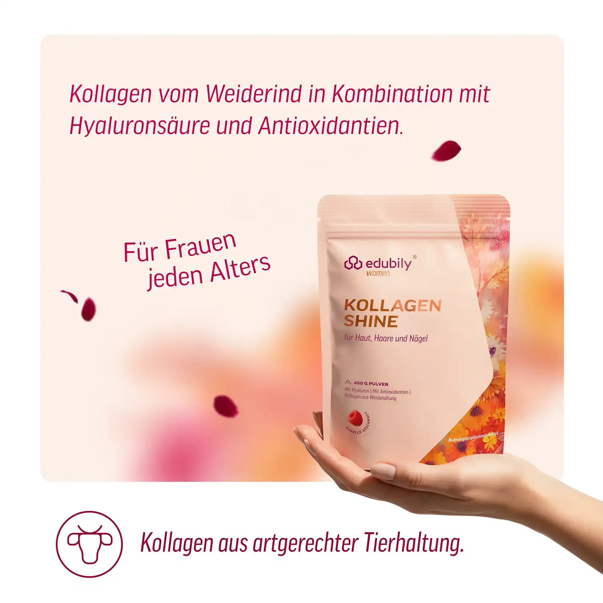 Kollagen Shine kaufen - edubily Kollagen - Fitness Onlineshop