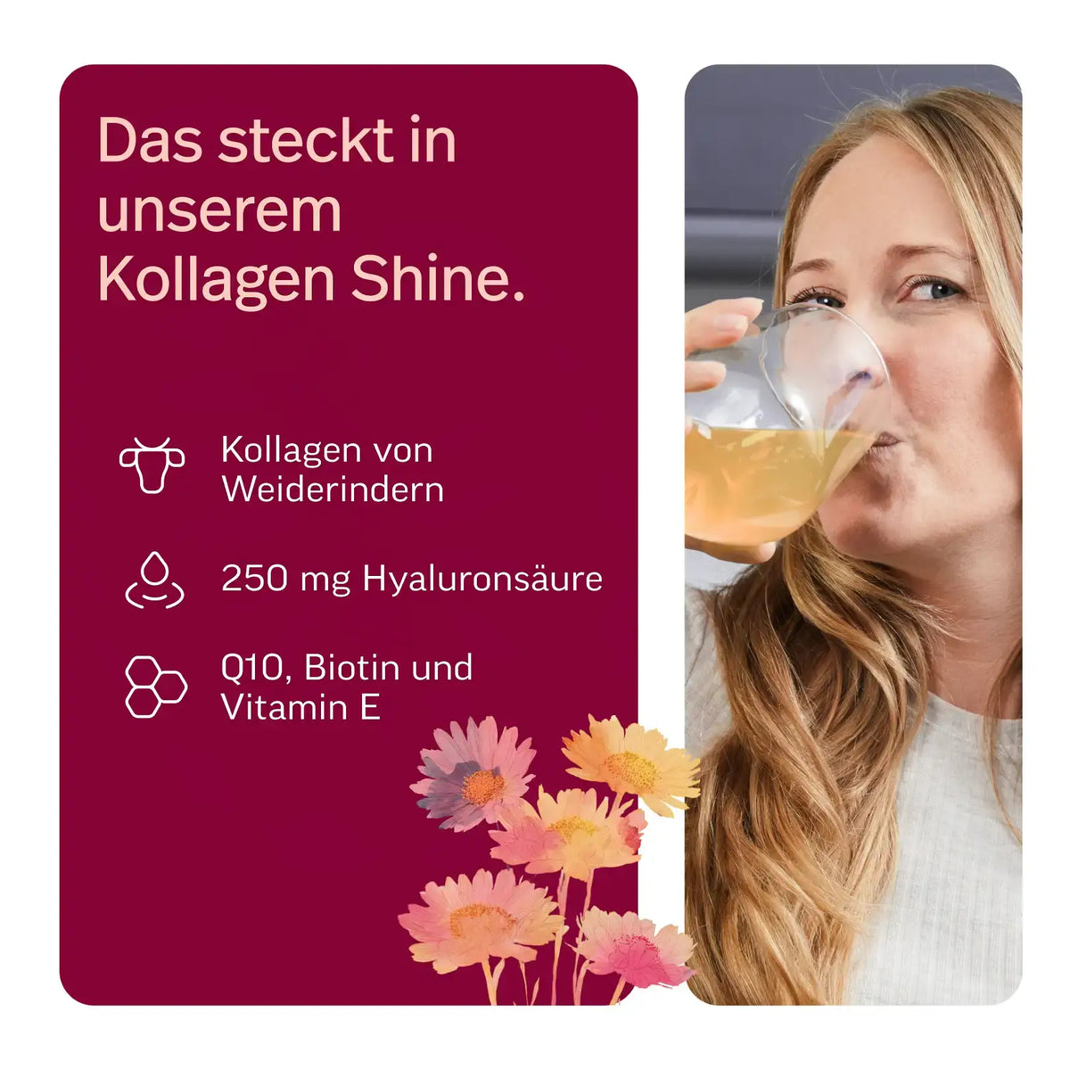Kollagen Shine kaufen - edubily Kollagen - Fitness Onlineshop