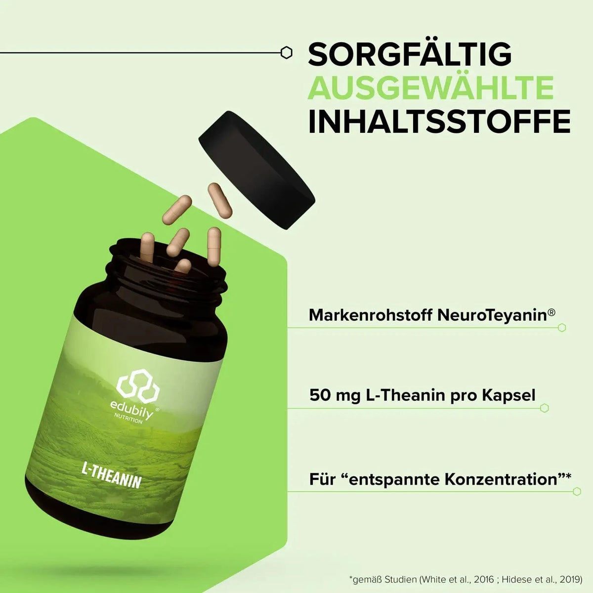 L-Theanin kaufen - edubily Nootropika - Fitness Onlineshop