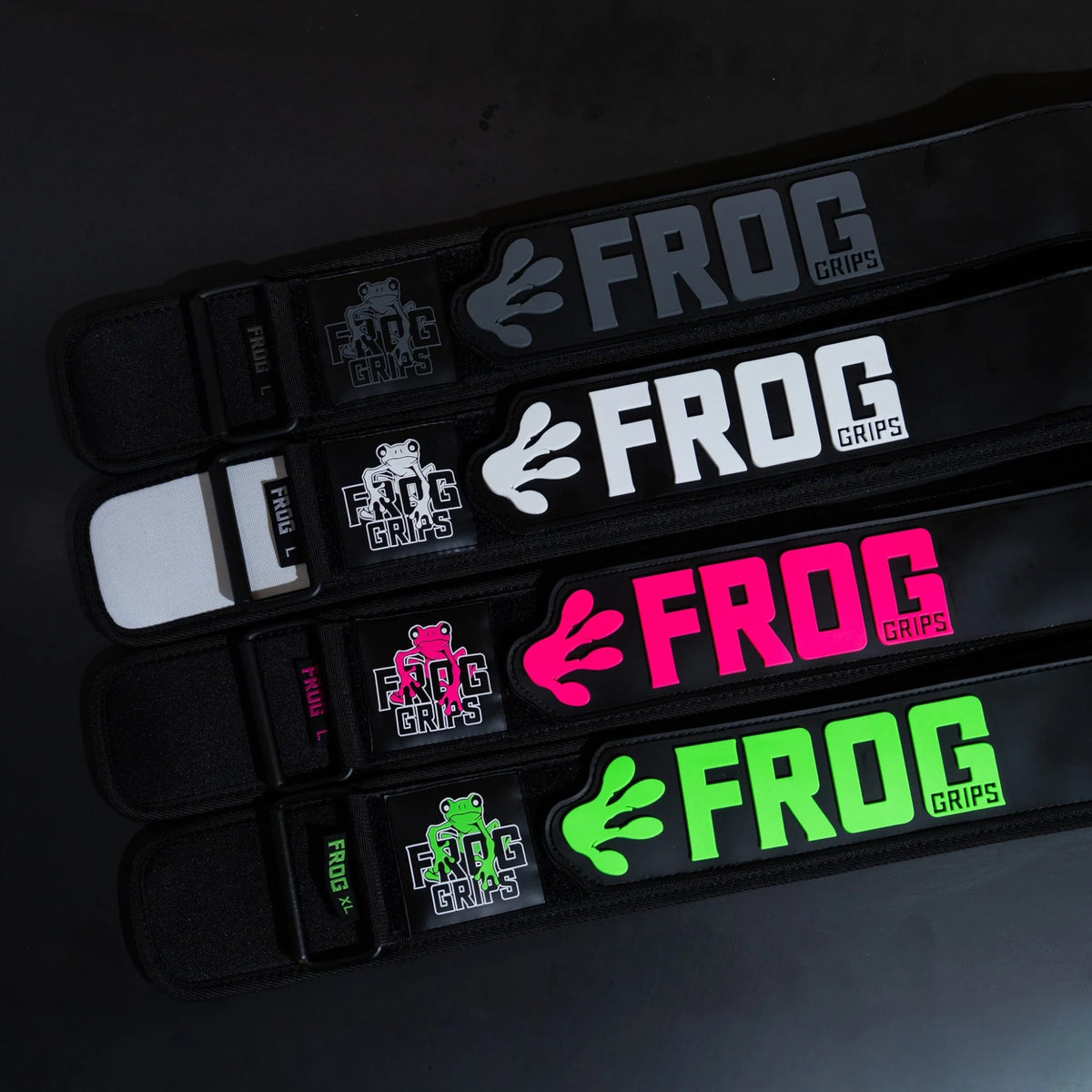 Frog Lifting Belt kaufen - Frog Grips Gewichthebergürtel - Fitness Onlineshop