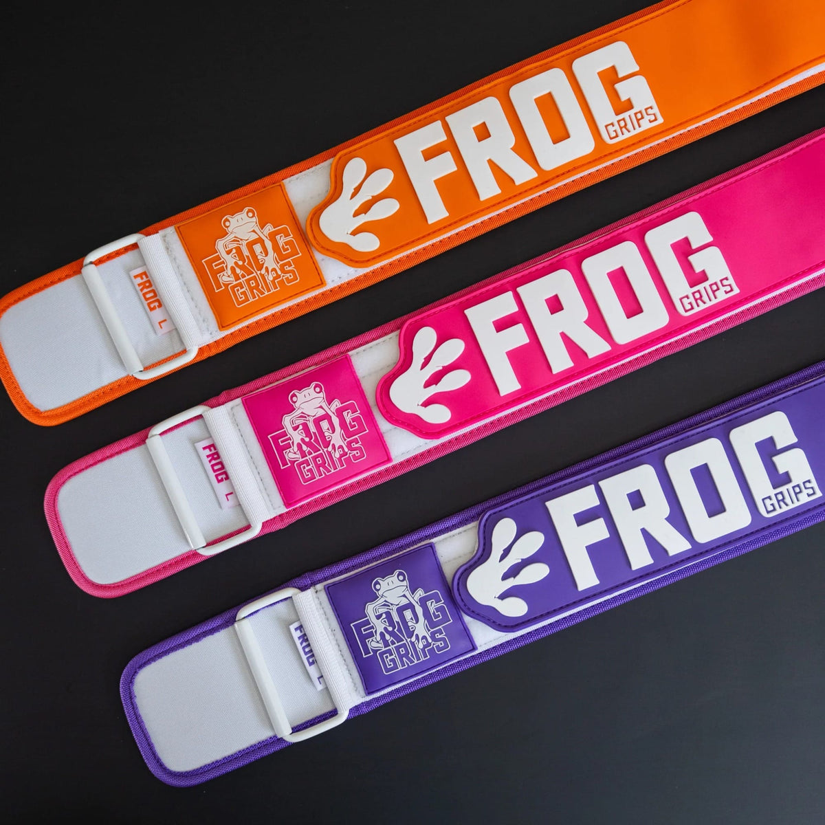 Frog Lifting Belt kaufen - Frog Grips Gewichthebergürtel - Fitness Onlineshop