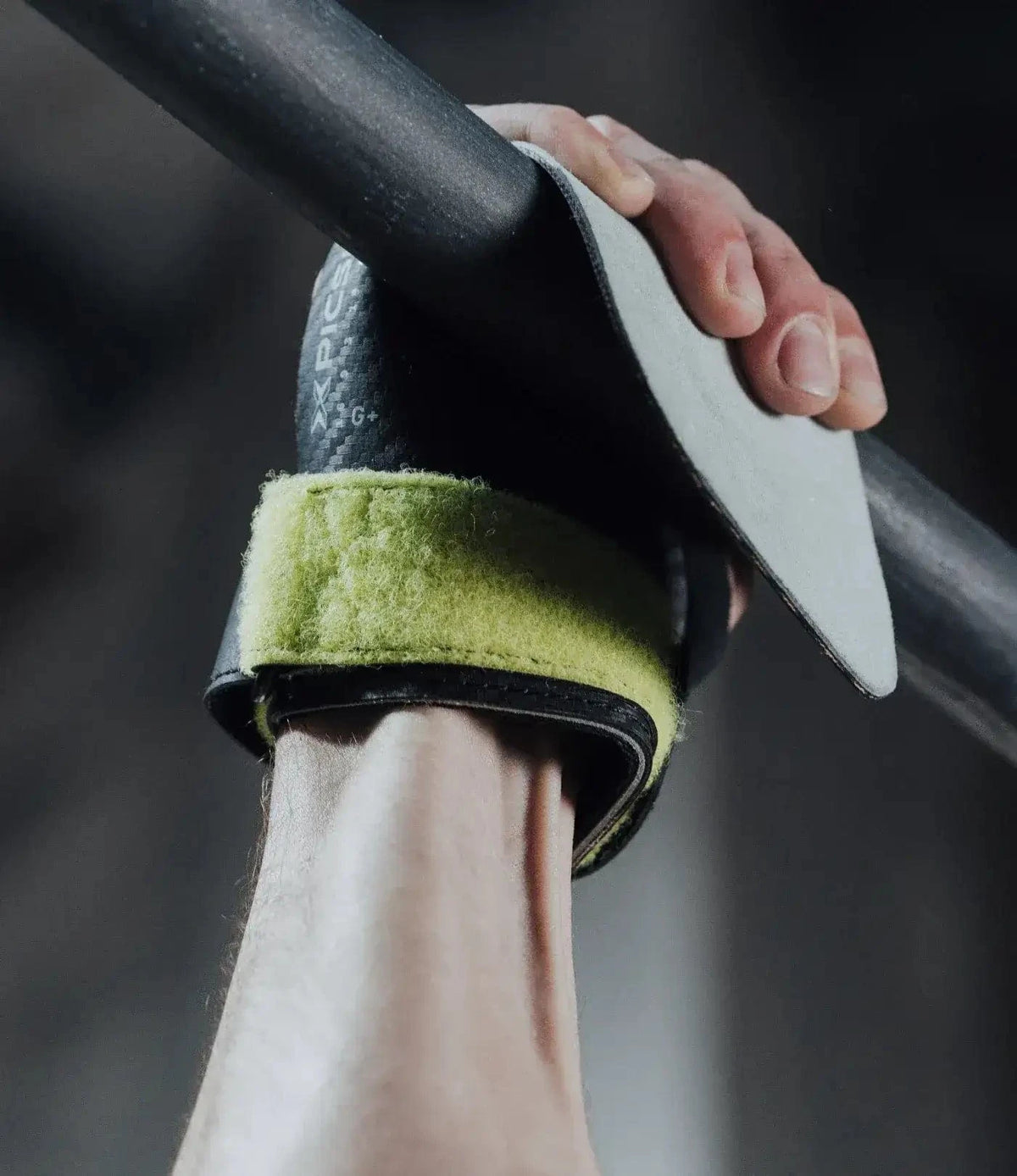Hawk Grips (No Chalk) kaufen - PicSil Gymnastics Grips - Fitness Onlineshop