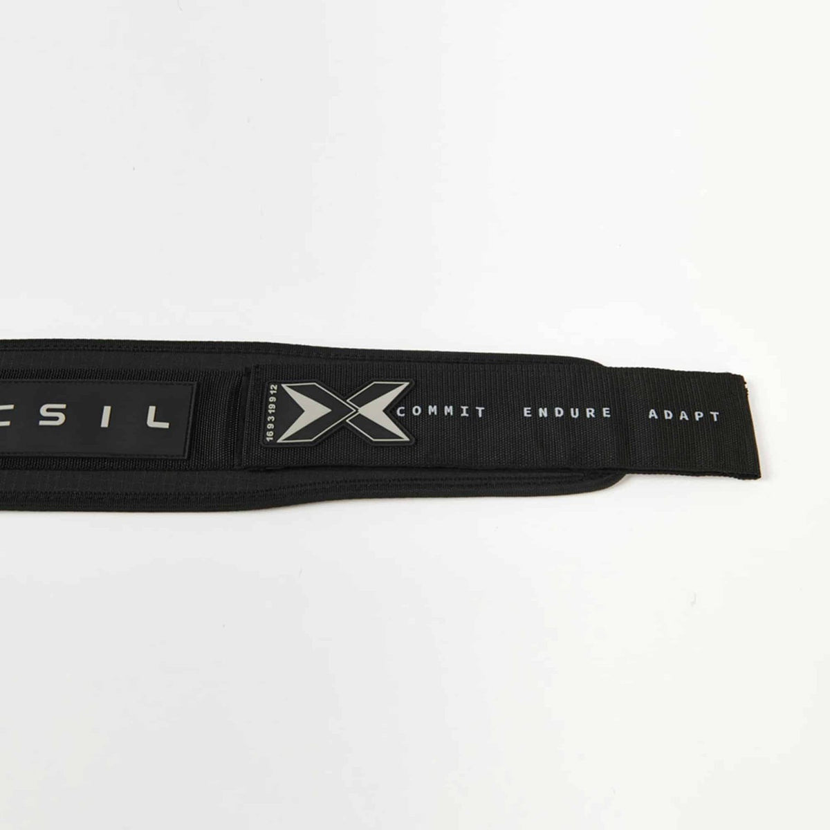 PicSil PicSil Gewichthebergürtel Schwarz kaufen bei haghpowered.com