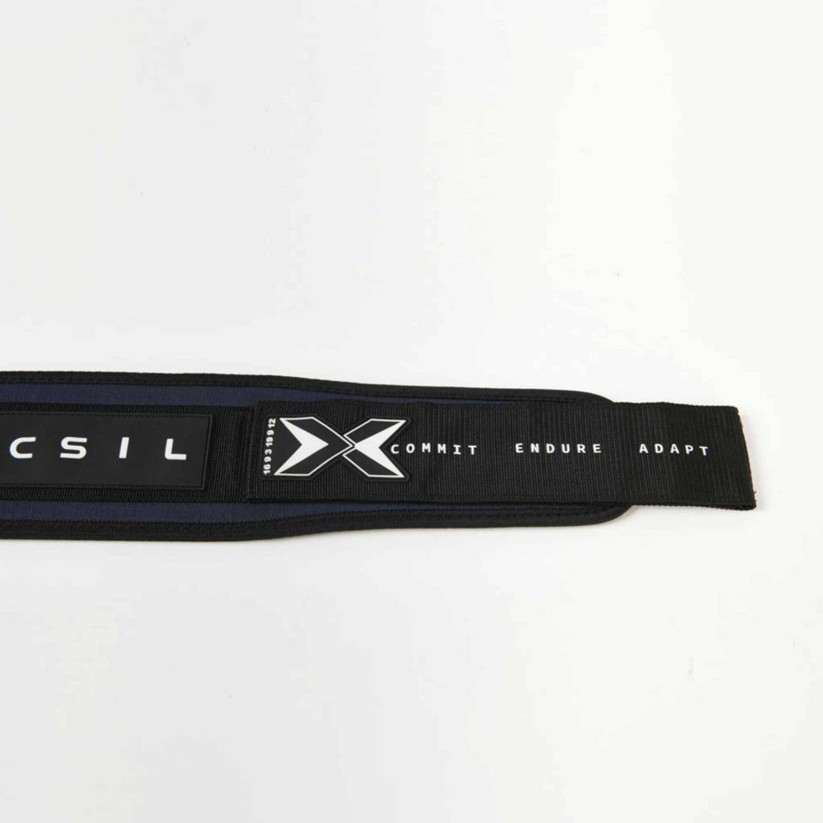 PicSil PicSil Gewichthebergürtel Blau kaufen bei haghpowered.com
