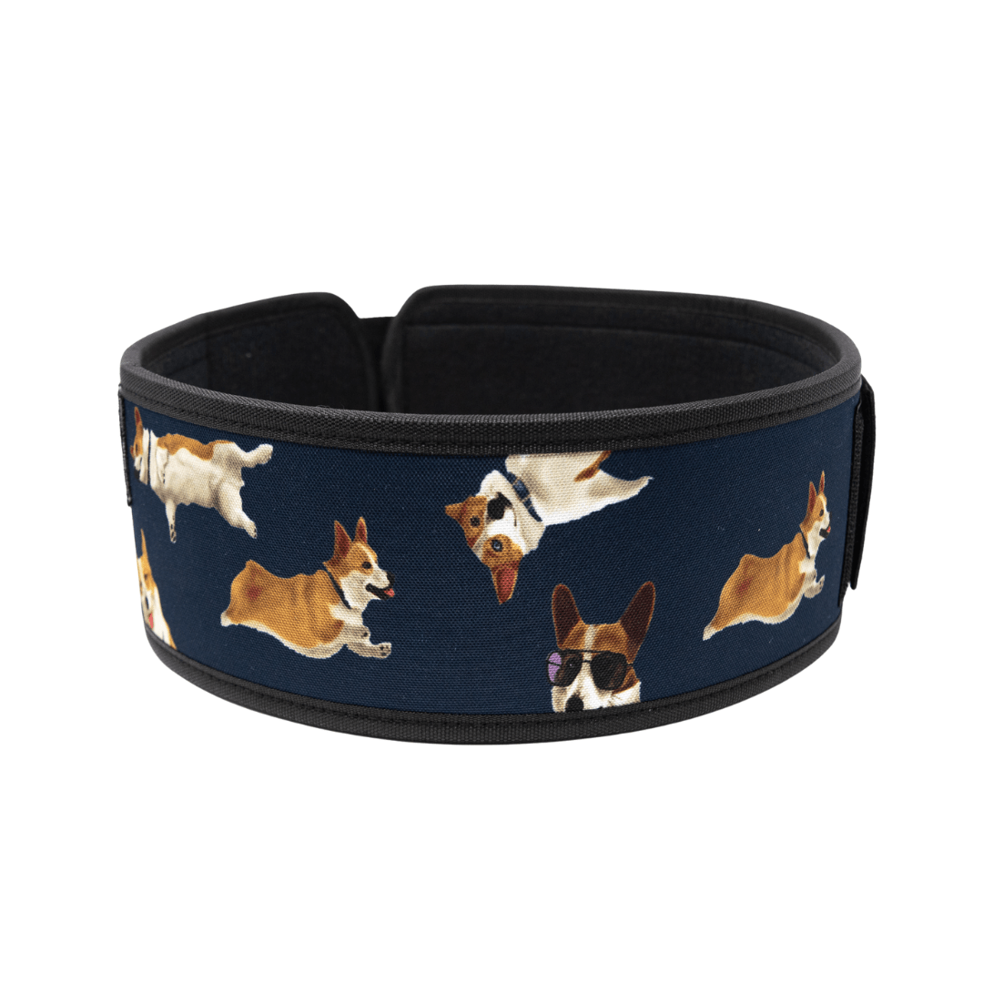 Winston the Corgi 2.0 4" Weightlifting Belt kaufen - RK Industries Official Lifting Belts of USAW - Fitness Onlineshop