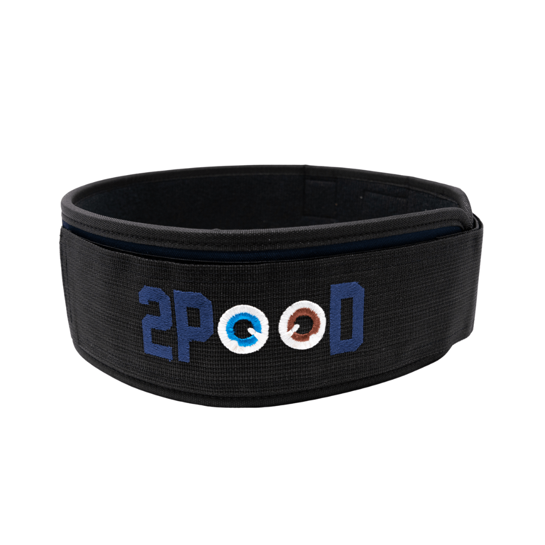 Winston the Corgi 2.0 4" Weightlifting Belt kaufen - RK Industries Official Lifting Belts of USAW - Fitness Onlineshop