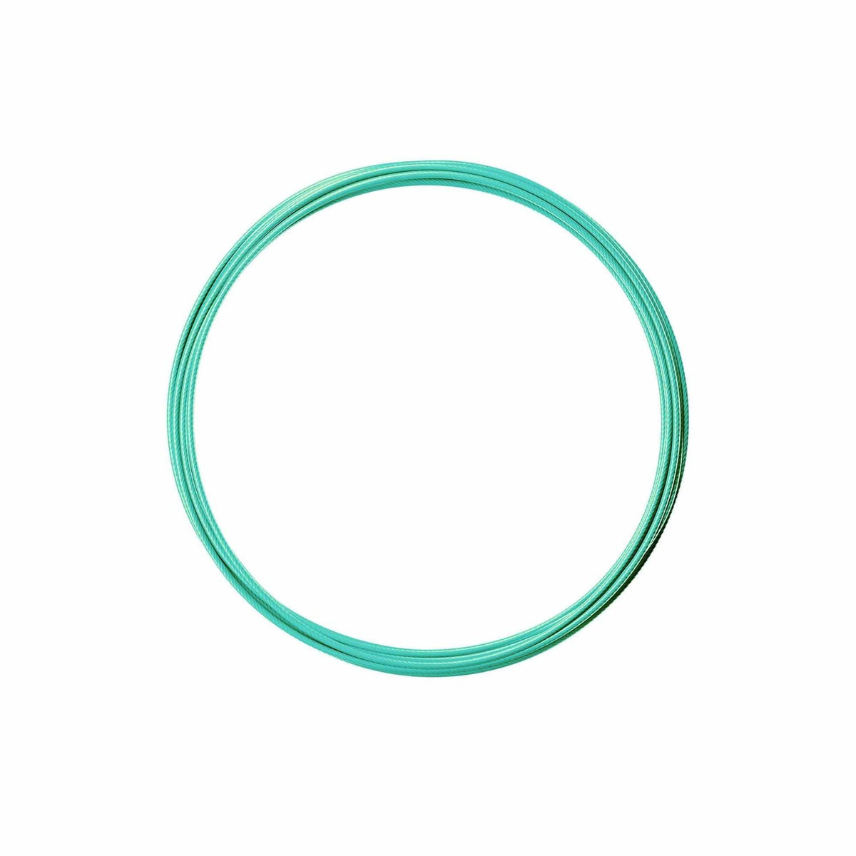 RPM Training Beschichtetes Stahlkabel (2 mm) Türkis kaufen bei haghpowered.com
