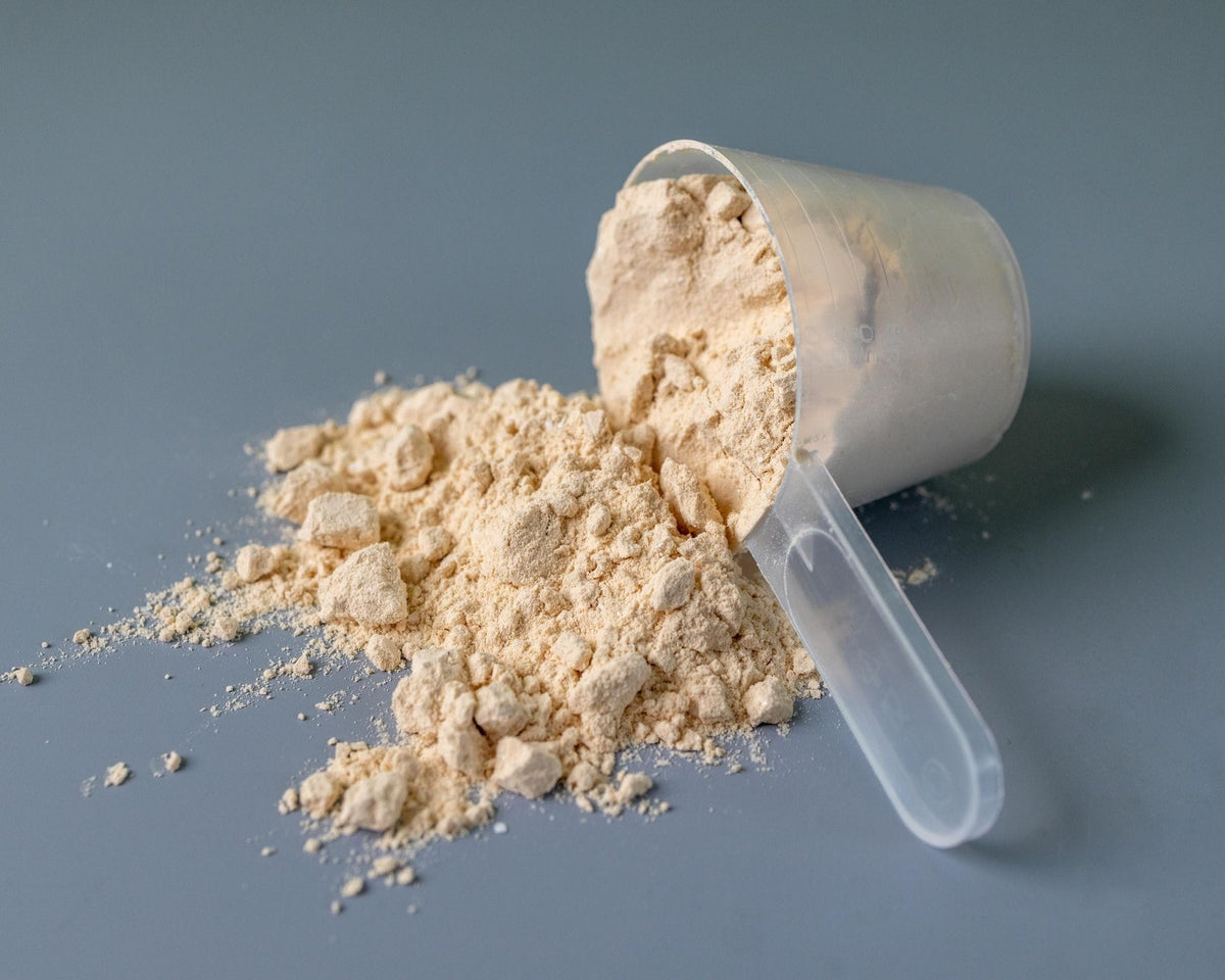 Pflanzliches Protein kaufen - Vilgain Veganes Proteinpulver - Fitness Onlineshop
