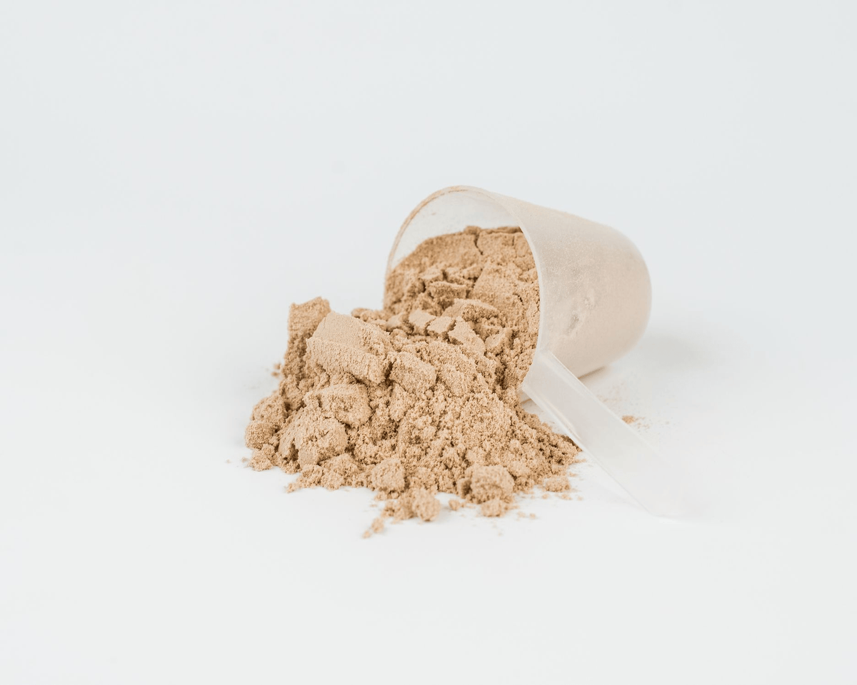 Pflanzliches Protein kaufen - Vilgain Veganes Proteinpulver - Fitness Onlineshop