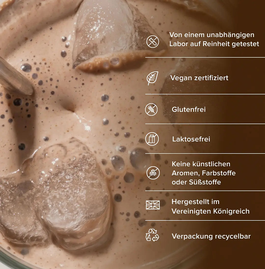 Clean Protein kaufen - Vivo Life Vegane Proteinpulver - Fitness Onlineshop