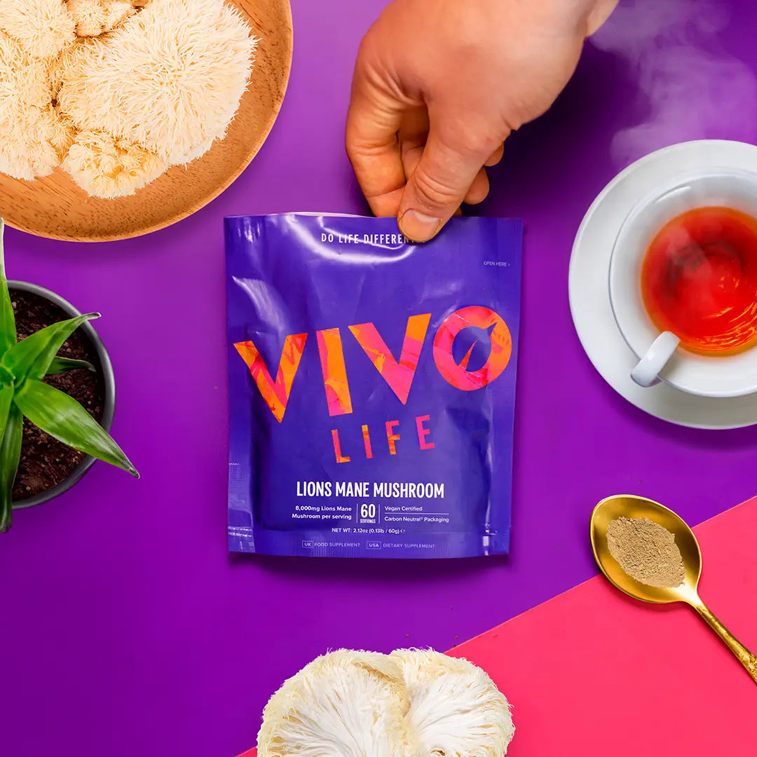 Lion's Mane Pulver (8:1 Extrakt) 60 g kaufen - Vivo Life Pilz-Supplements - Fitness Onlineshop