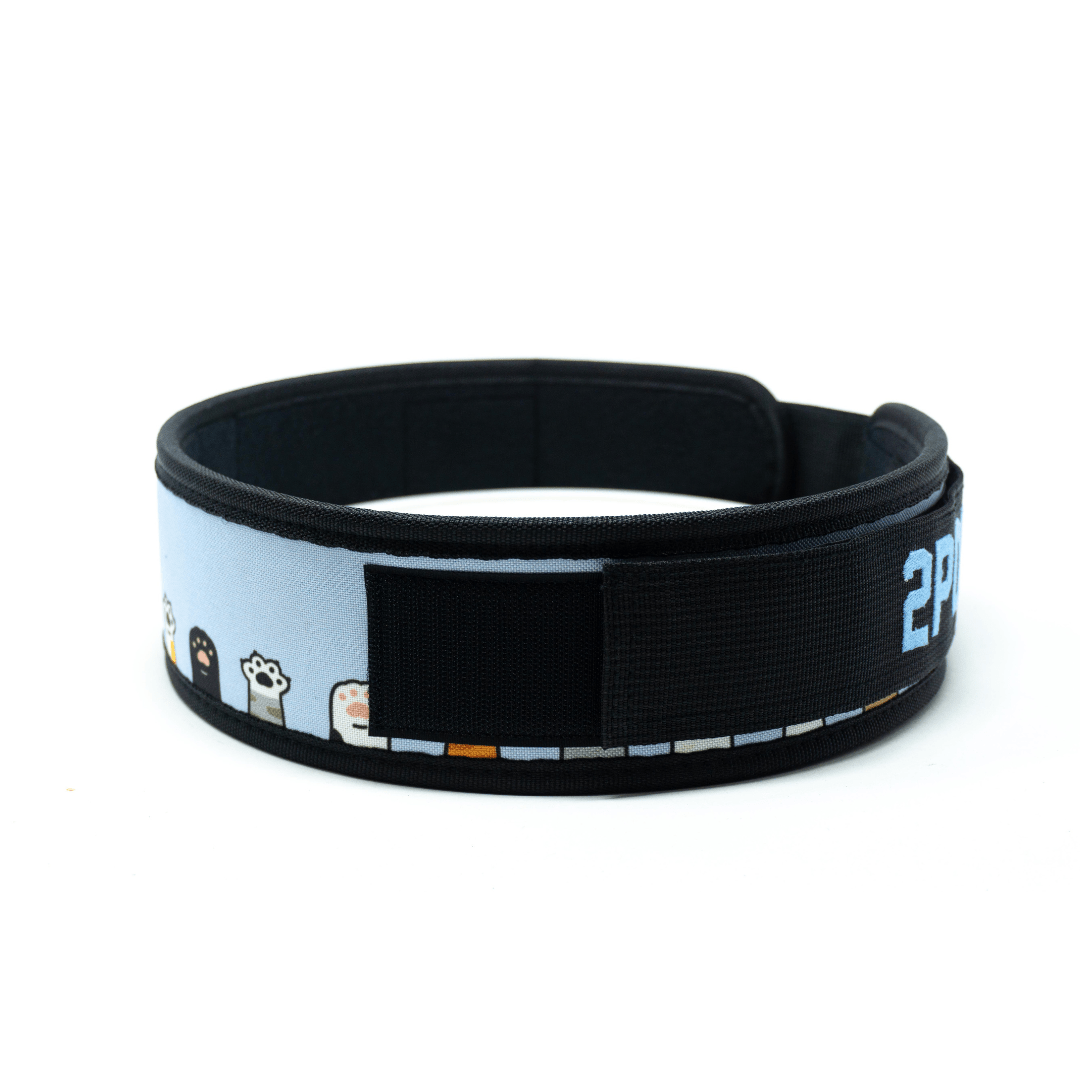 3" Petite I'm Feline Good Weightlifting Belt kaufen -  2POOD 3 Inch Belt  - Fitness Onlineshop