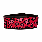 Bear KompleX Metcon Gewichthebergürtel Pink kaufen bei haghpowered.com