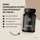 Ashwaghanda Extrakt kaufen -  edubily Extrakte  - Fitness Onlineshop