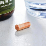 Grüner-Tee-Extrakt Kapseln mit 50 % EGCG kaufen -  edubily Extrakte  - Fitness Onlineshop