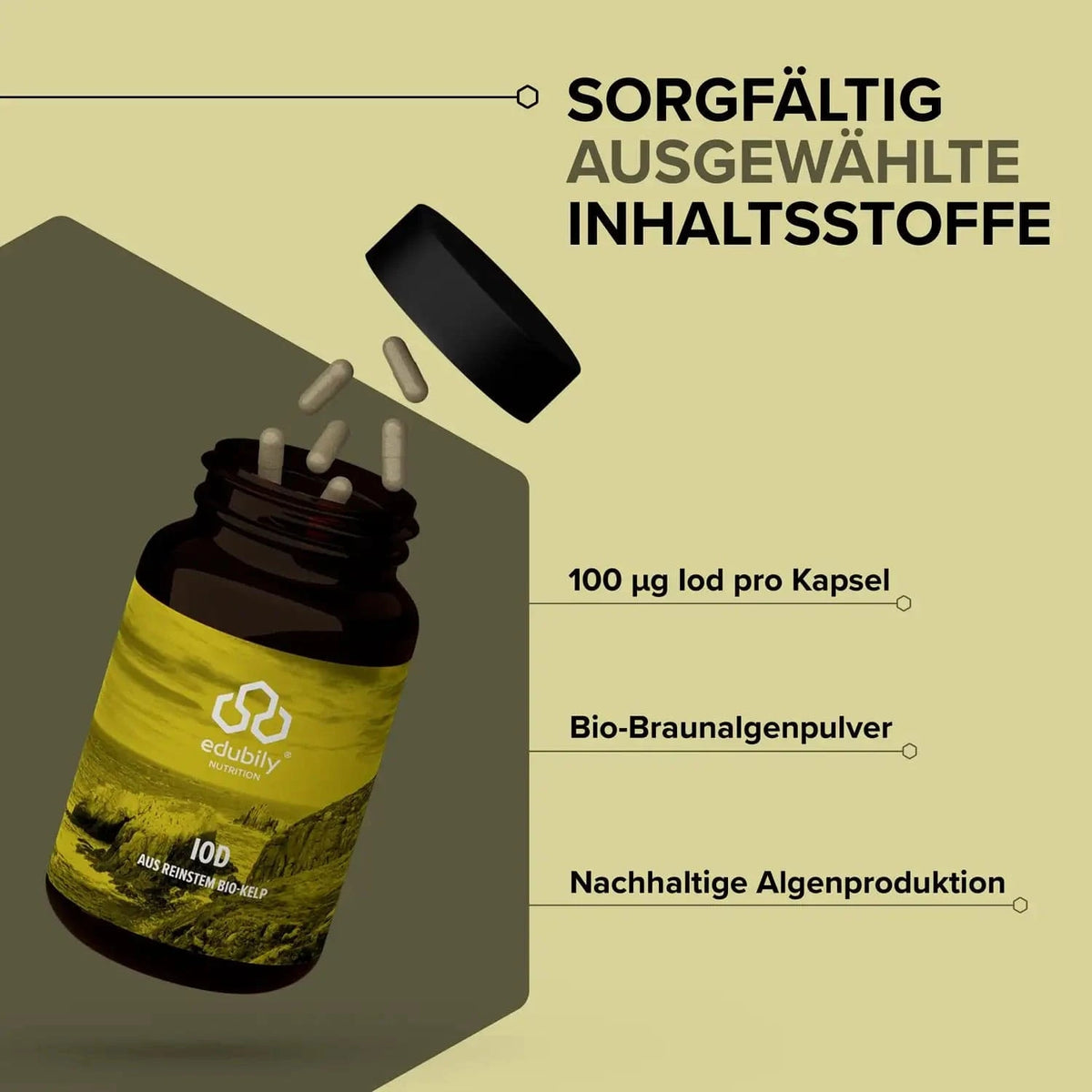 Iod Kapseln – aus reinstem Bio-Kelp kaufen -  edubily Jod  - Fitness Onlineshop