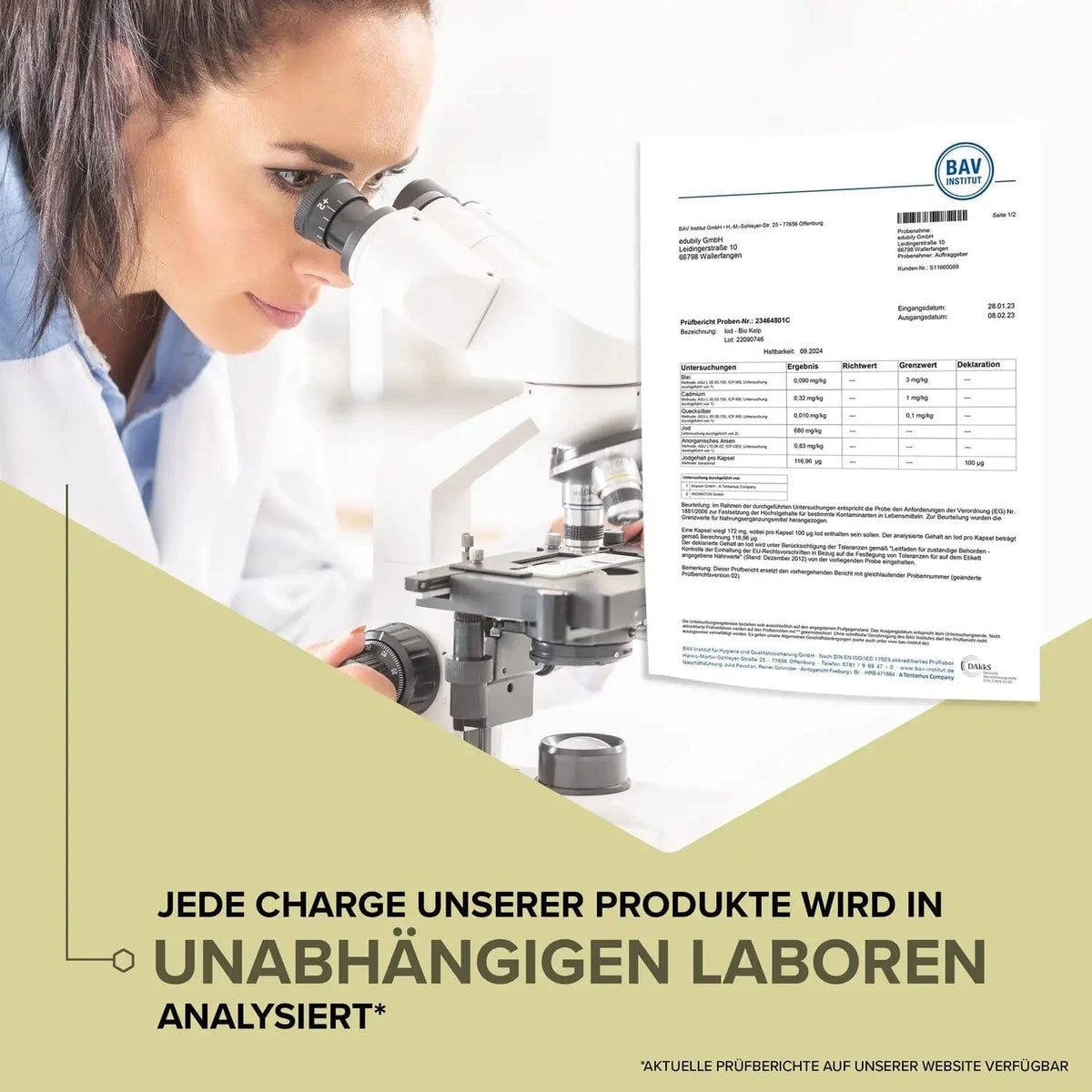 Iod Kapseln – aus reinstem Bio-Kelp kaufen -  edubily Jod  - Fitness Onlineshop