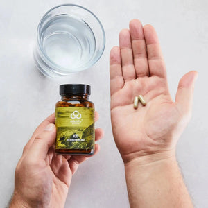 Iod Kapseln – aus reinstem Bio-Kelp kaufen -  edubily Jod  - Fitness Onlineshop