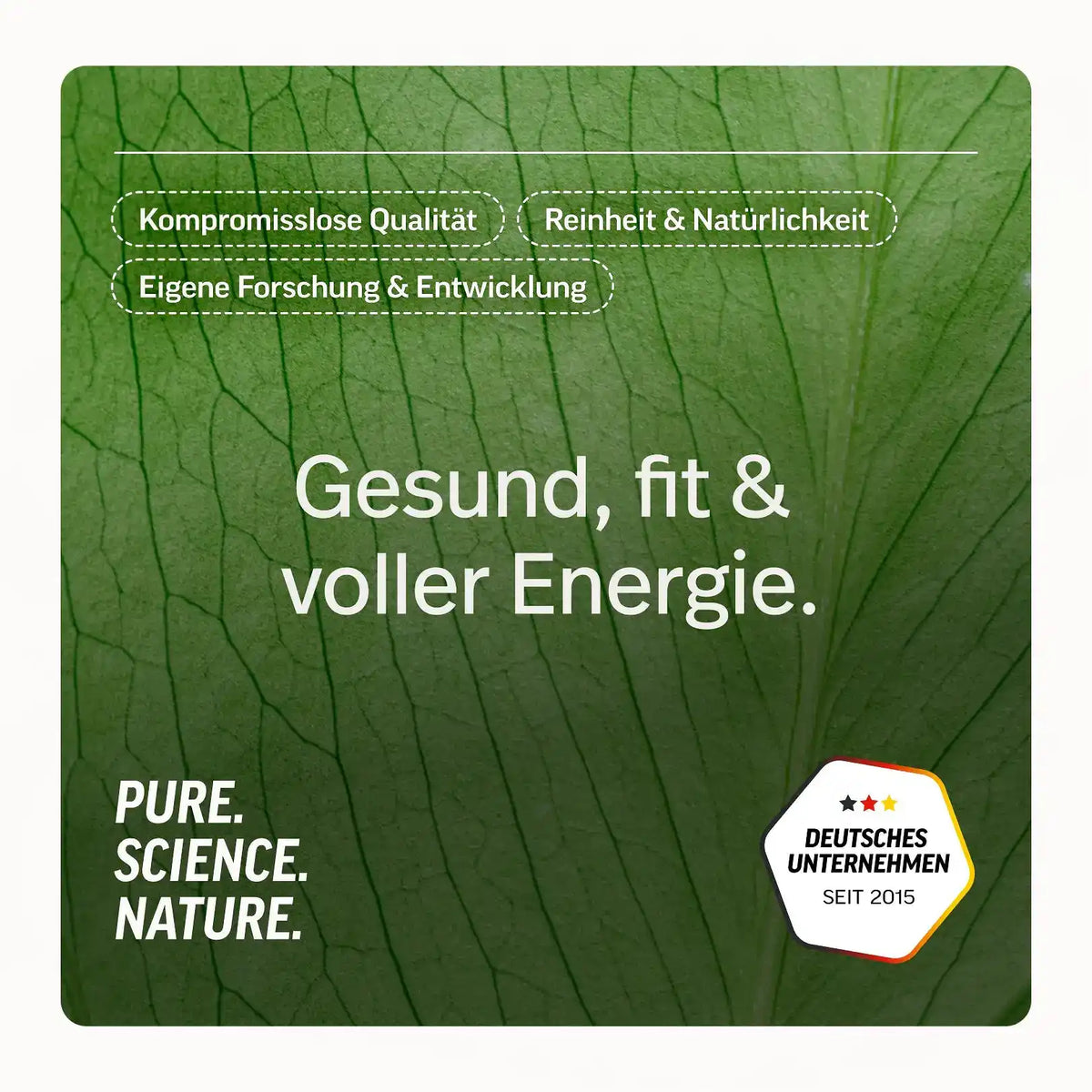Magnesium-Kapseln kaufen -  edubily Magnesium (Mineralstoff)  - Fitness Onlineshop