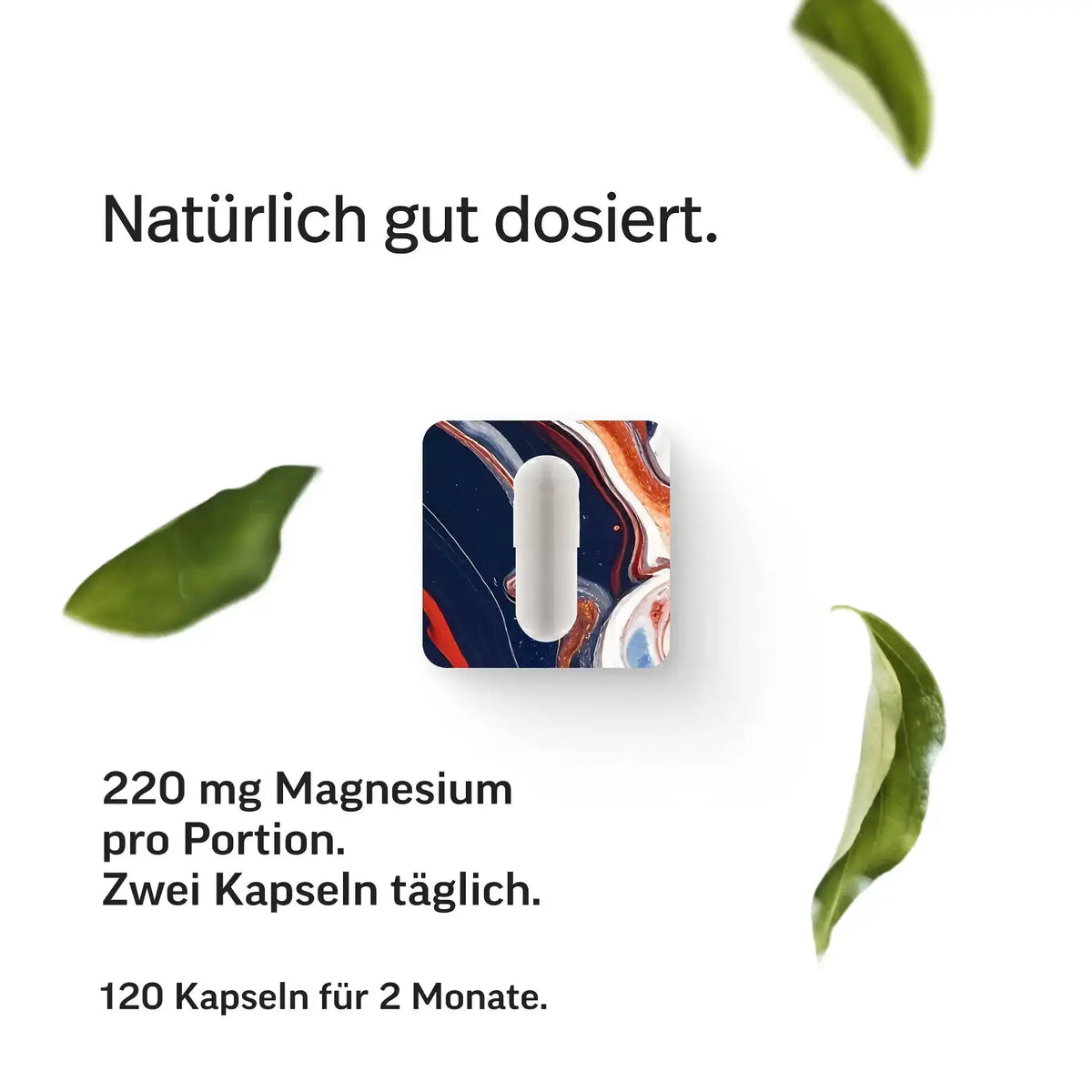 Magnesium-Kapseln kaufen -  edubily Magnesium (Mineralstoff)  - Fitness Onlineshop