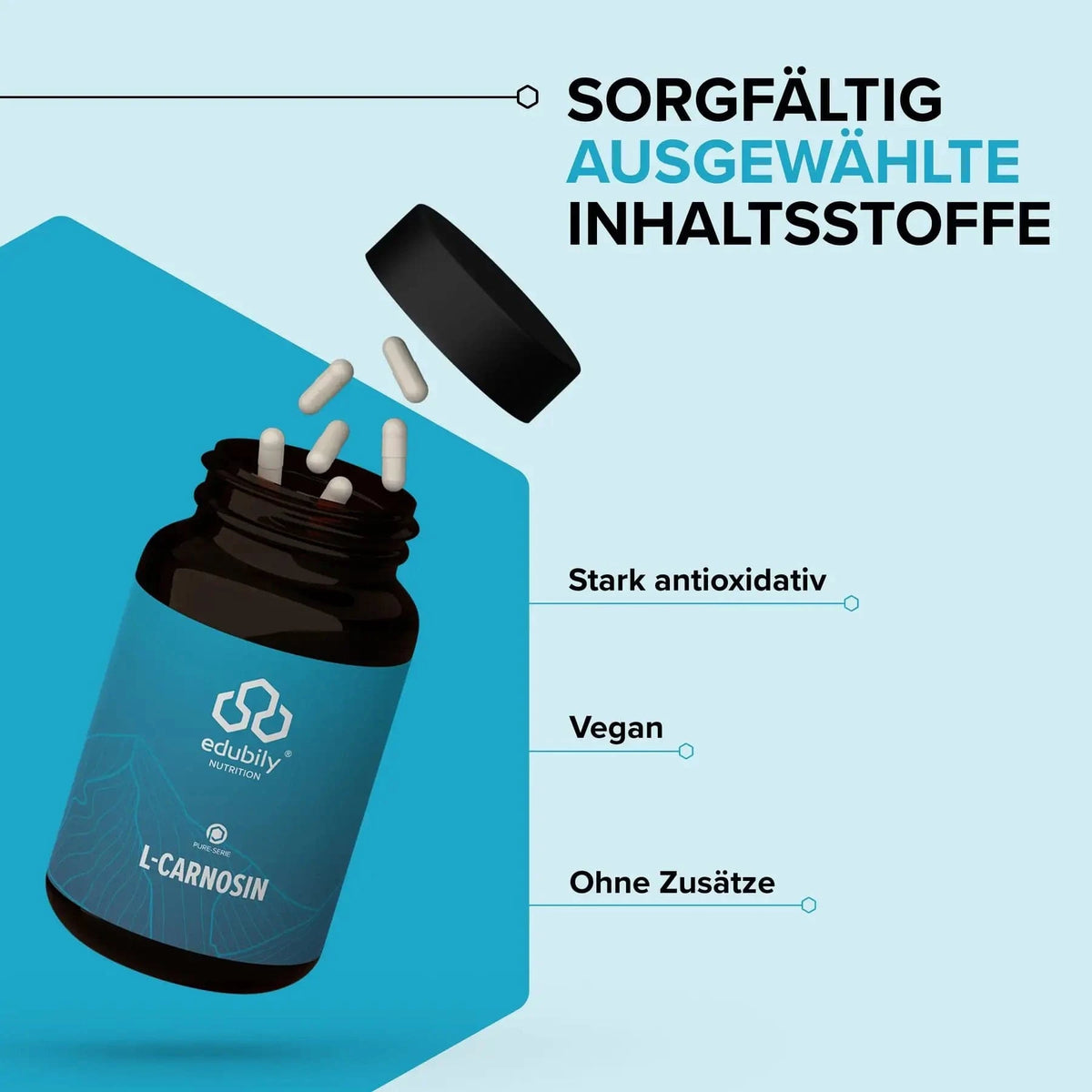 PURE L-Carnosin Kapseln kaufen -  edubily Weitere Aminosäuren  - Fitness Onlineshop