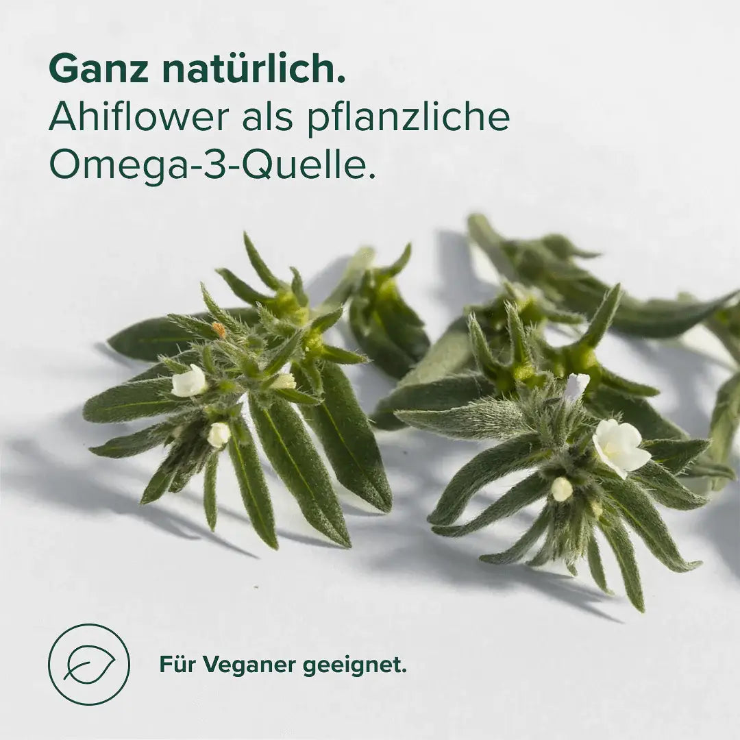 Veganes Omega-3 Öl kaufen -  edubily Omega 3  - Fitness Onlineshop