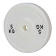 HighPowered Full-Size Technique Plate 5 kg kaufen bei haghpowered.com
