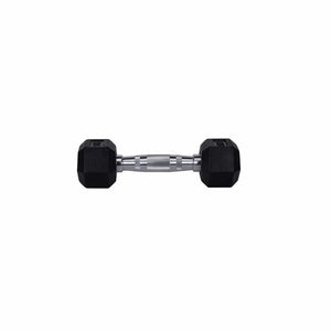 HighPowered Hexagon Dumbbell (Kurzhantel) 1 kg kaufen bei haghpowered.com