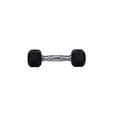HighPowered Hexagon Dumbbell (Kurzhantel) 1 kg kaufen bei haghpowered.com
