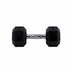 HighPowered Hexagon Dumbbell (Kurzhantel) 10 kg kaufen bei haghpowered.com