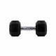 HighPowered Hexagon Dumbbell (Kurzhantel) 10 kg kaufen bei haghpowered.com