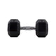HighPowered Hexagon Dumbbell (Kurzhantel) 12.5 kg kaufen bei haghpowered.com