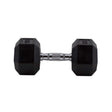 HighPowered Hexagon Dumbbell (Kurzhantel) 15 kg kaufen bei haghpowered.com