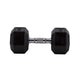 HighPowered Hexagon Dumbbell (Kurzhantel) 15 kg kaufen bei haghpowered.com
