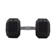 HighPowered Hexagon Dumbbell (Kurzhantel) 20 kg kaufen bei haghpowered.com