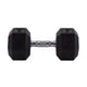 HighPowered Hexagon Dumbbell (Kurzhantel) 27.5 kg kaufen bei haghpowered.com