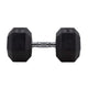 HighPowered Hexagon Dumbbell (Kurzhantel) 30 kg kaufen bei haghpowered.com