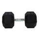 HighPowered Hexagon Dumbbell (Kurzhantel) 32.5 kg kaufen bei haghpowered.com