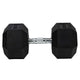 HighPowered Hexagon Dumbbell (Kurzhantel) 37.5 kg kaufen bei haghpowered.com