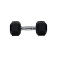 HighPowered Hexagon Dumbbell (Kurzhantel) 8 kg kaufen bei haghpowered.com