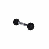 HighPowered Hexagon Dumbbell (Kurzhantel) 1 kg kaufen bei haghpowered.com