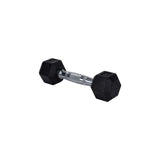 HighPowered Hexagon Dumbbell (Kurzhantel) 2 kg kaufen bei haghpowered.com