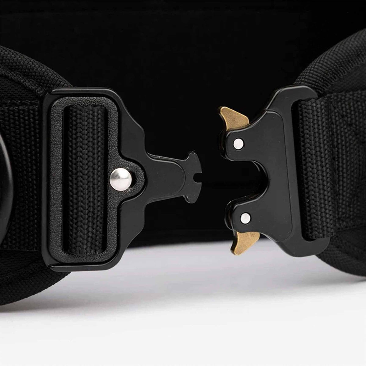 PicSil Dip Belt mit Kette kaufen bei haghpowered.com