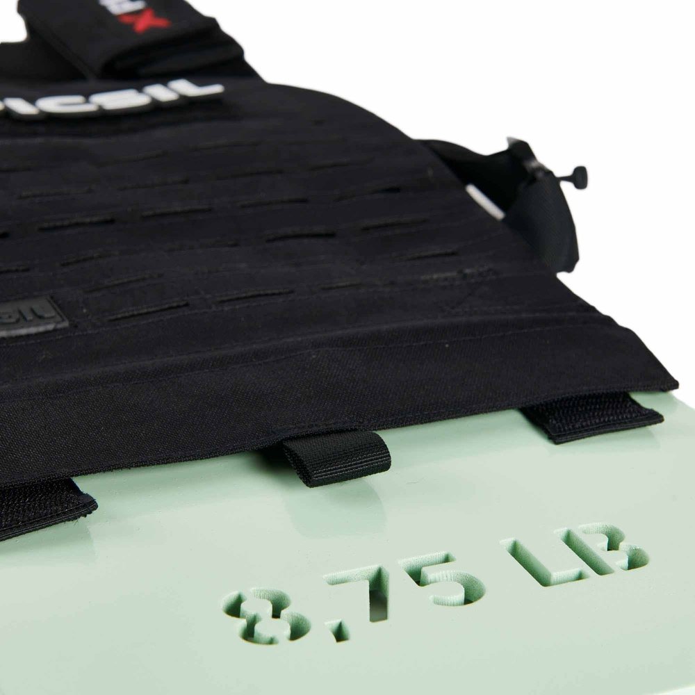 PicSil Gewichtsplatten-Set Männer (2 Stück) kaufen bei haghpowered.com