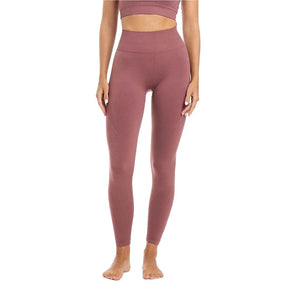 Seamless Damen Leggings (Sculpt) Rosa / S kaufen -  PicSil Unterteile Damen  - Fitness Onlineshop