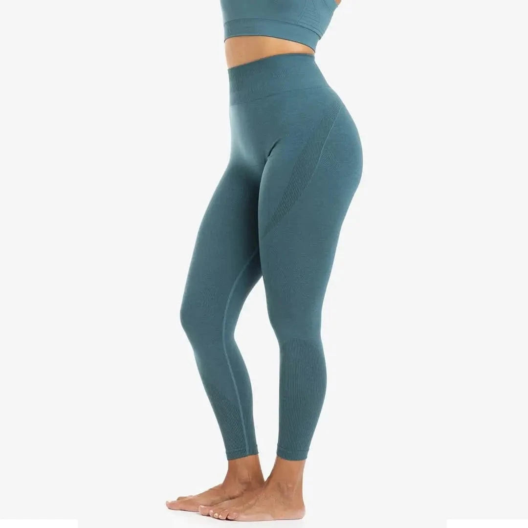 Seamless Damen Leggings (Sculpt) kaufen -  PicSil Unterteile Damen  - Fitness Onlineshop