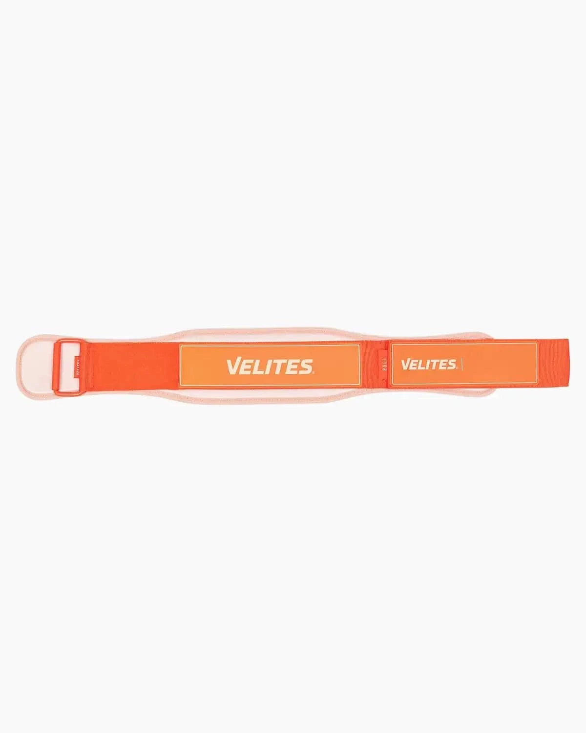 Gewichthebergürtel kaufen -  Velites Gewichthebergürtel  - Fitness Onlineshop